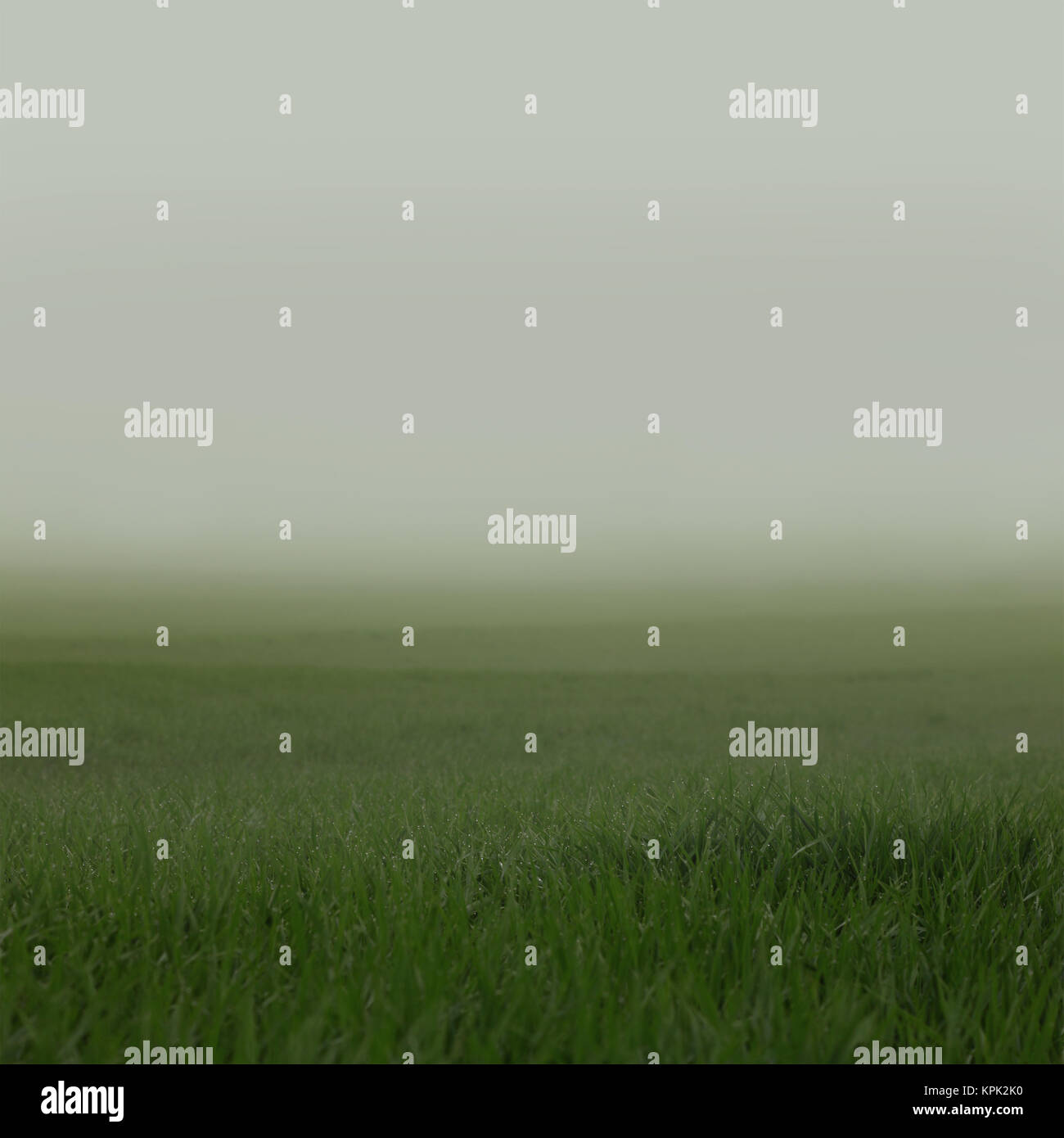 Green low visibility hi-res stock photography and images - Alamy