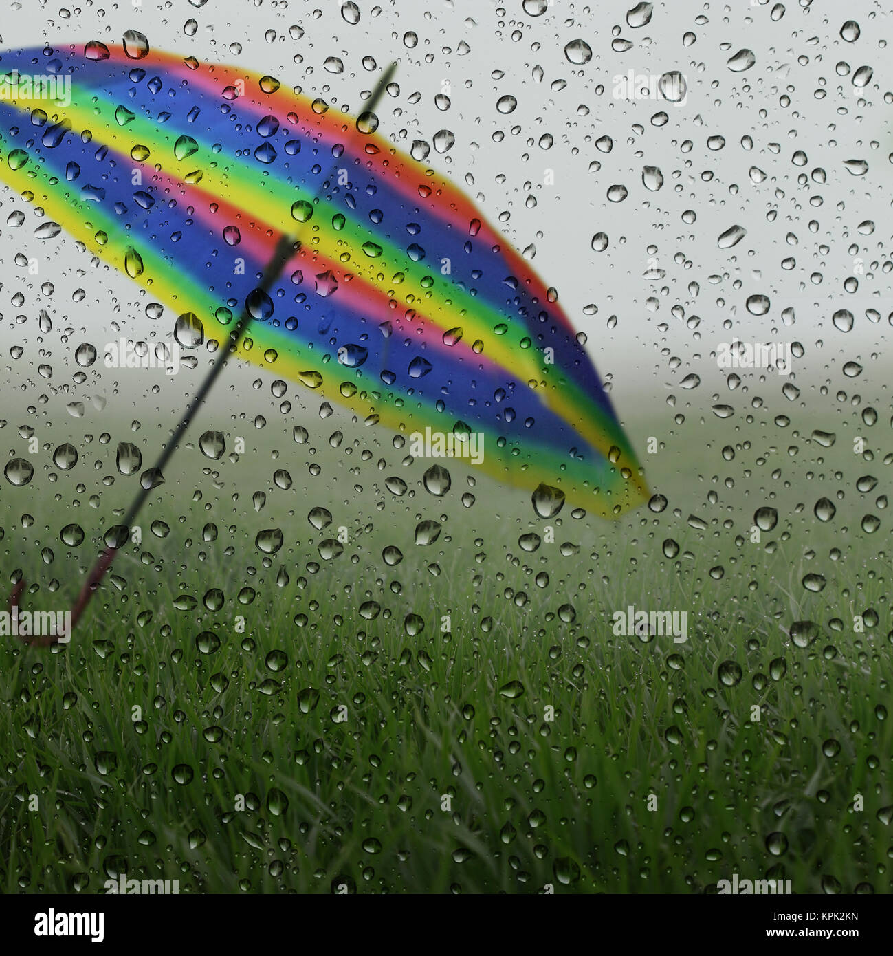 Wet green grass raindrops hi-res stock photography and images - Alamy