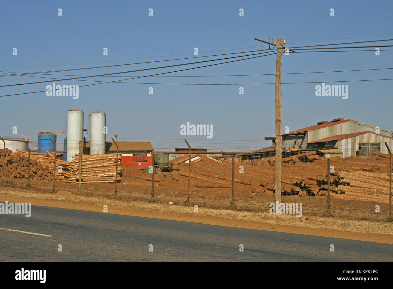Timber at timber factory, Kingdom of Swaziland Stock Photo - Alamy