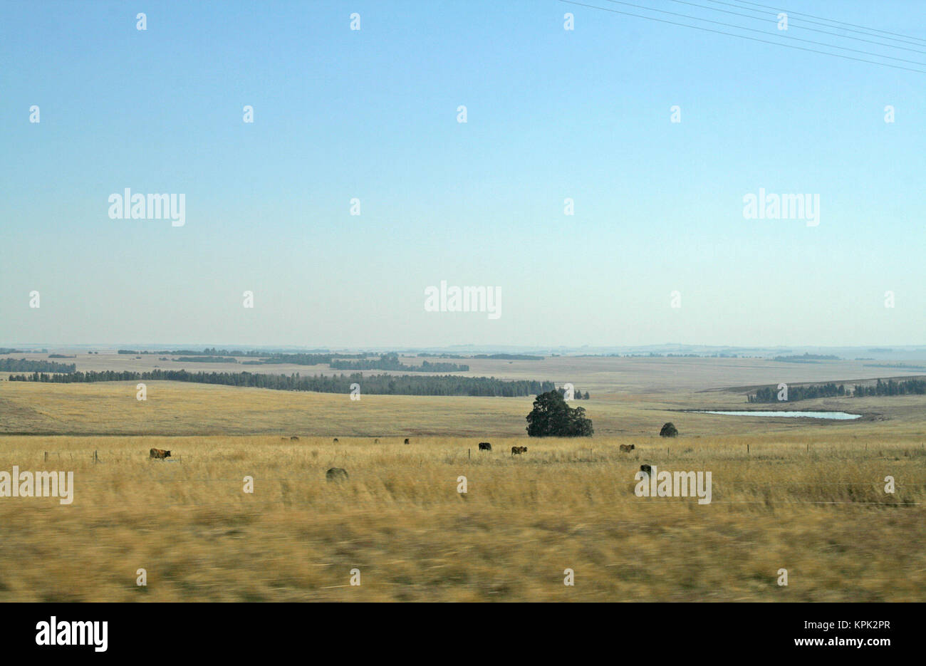 Countryside fields on highways, Kingdom of Swaziland. Stock Photo