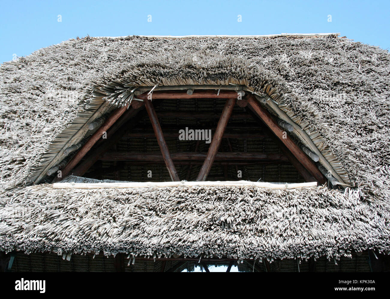 Close up of thatch roof, Hotel Sea Cliff, Zanzibar, Tanzania. Stock Photo