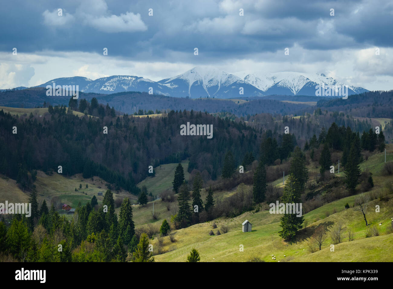 First Snow Carpathian Mountains, Romania Stock Photo
