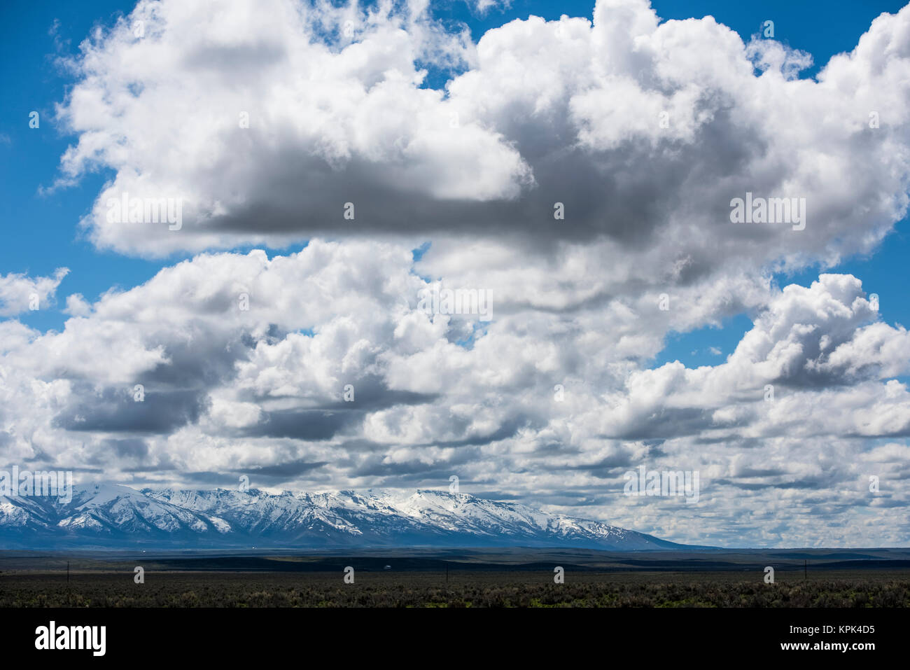 Landscape of flat, open land and a snow covered mountain range in the distance under a blue sky with cloud; Nevada, United States of America Stock Photo
