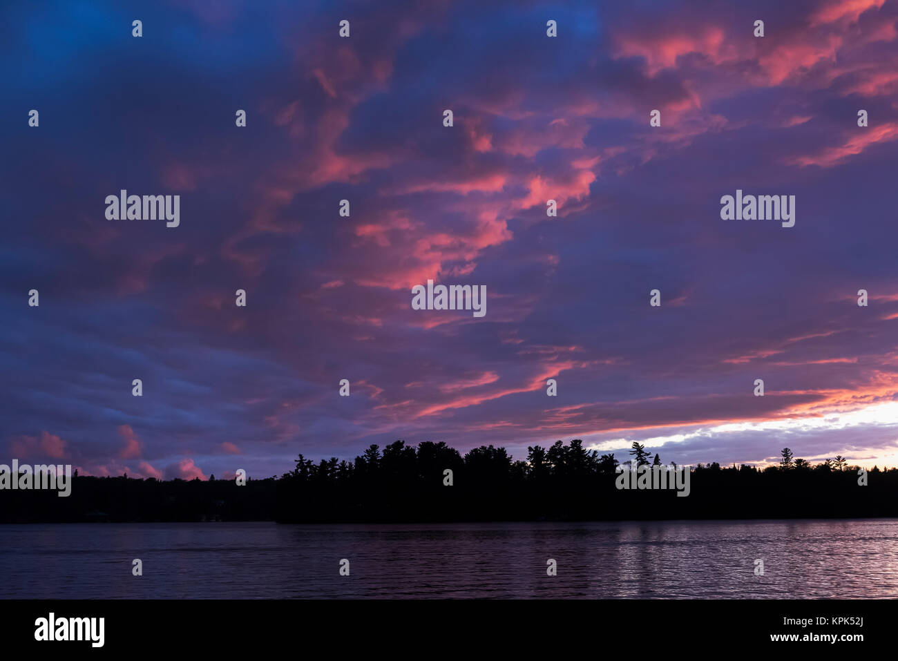 Pink clouds glowing over a tranquil lake and silhouetted trees at sunset; Lake of the Woods, Ontario, Canada Stock Photo
