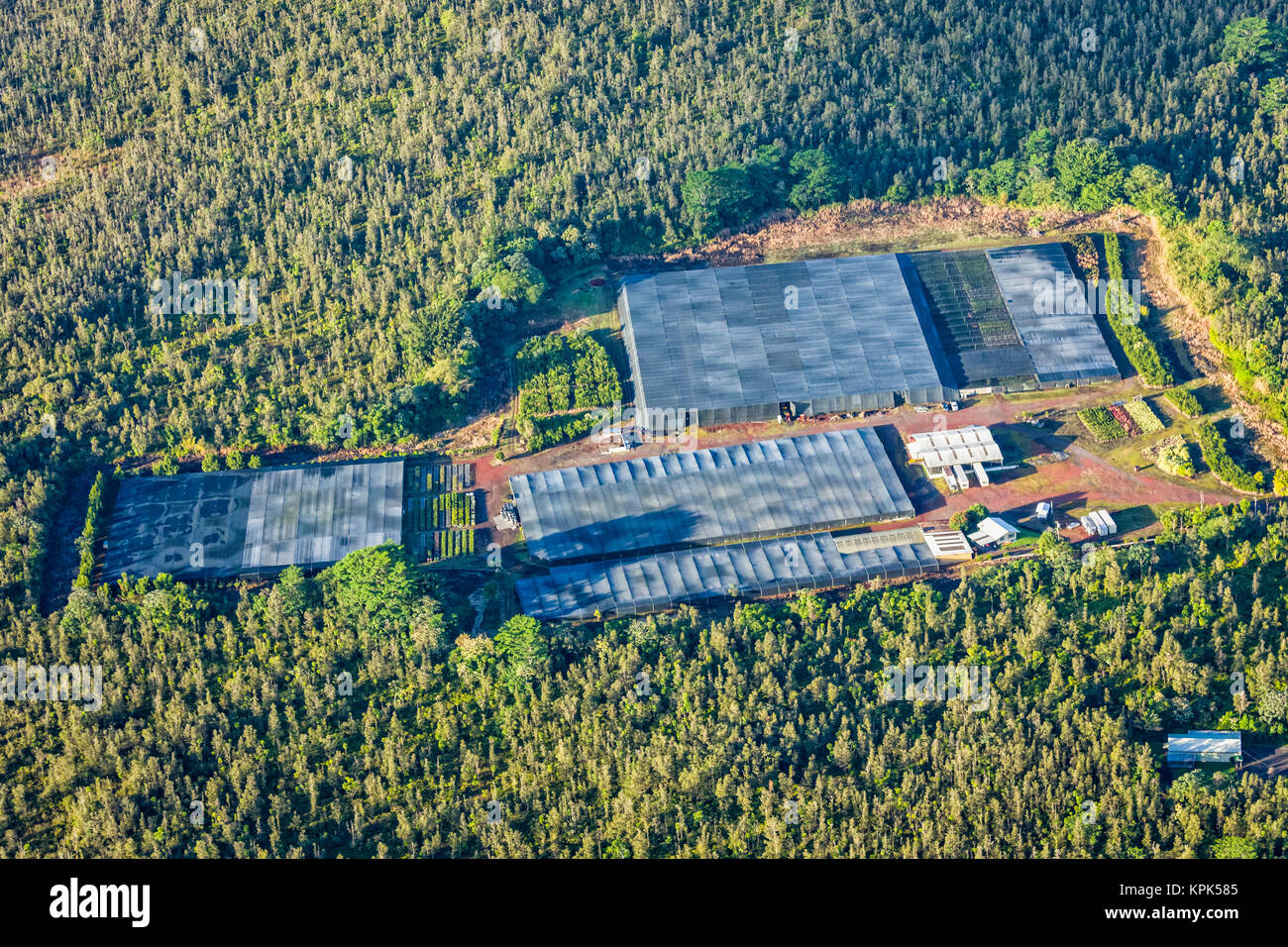Aerial view of anthurium nursery shade cloth near Hilo; Island of