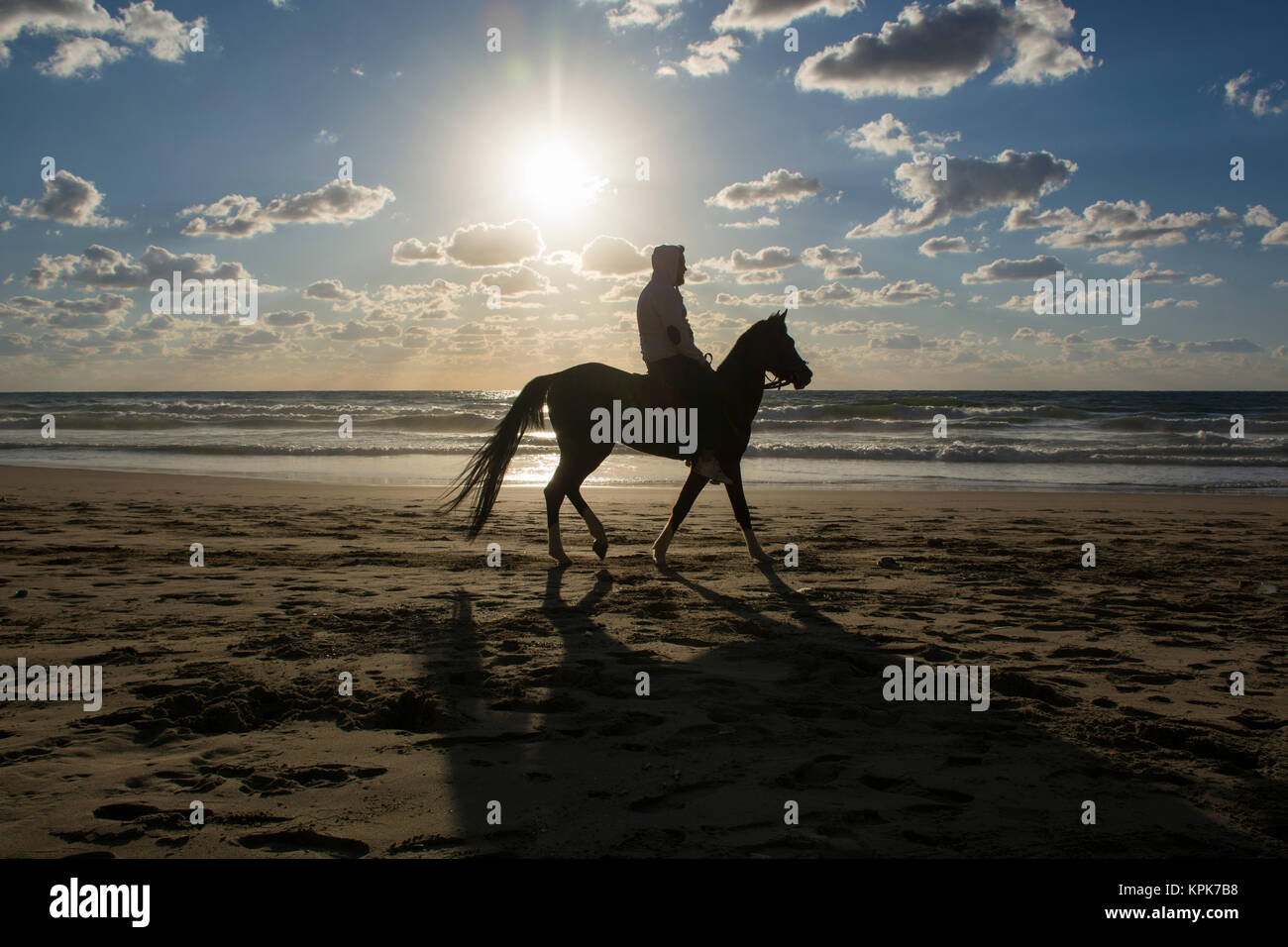 Silhouette of a man riding his horse on the beach Stock Photo