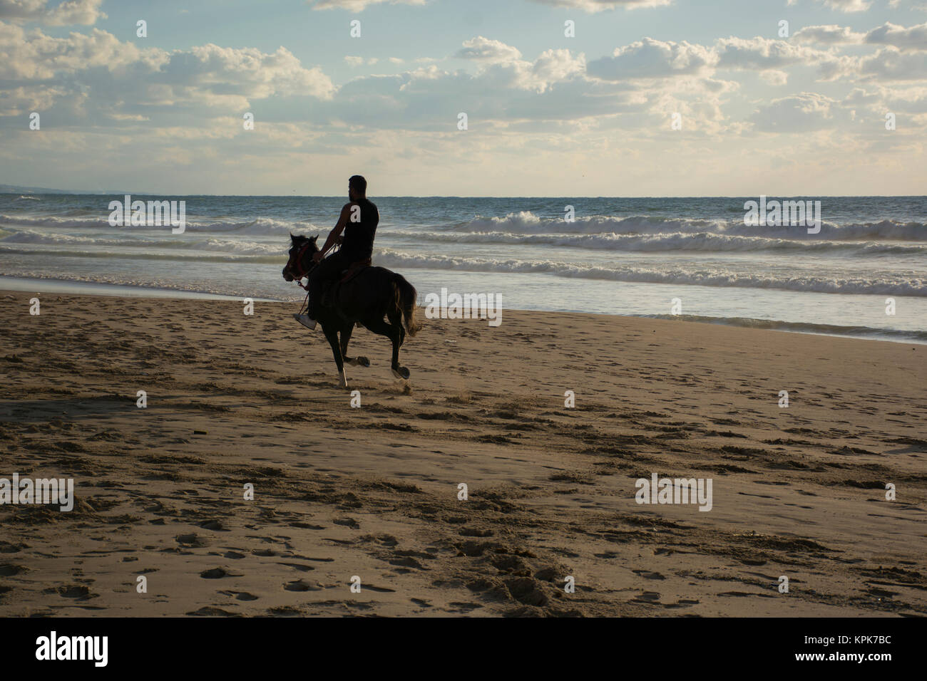 Silhouette of a man riding his horse on the beach at sunset Stock Photo ...