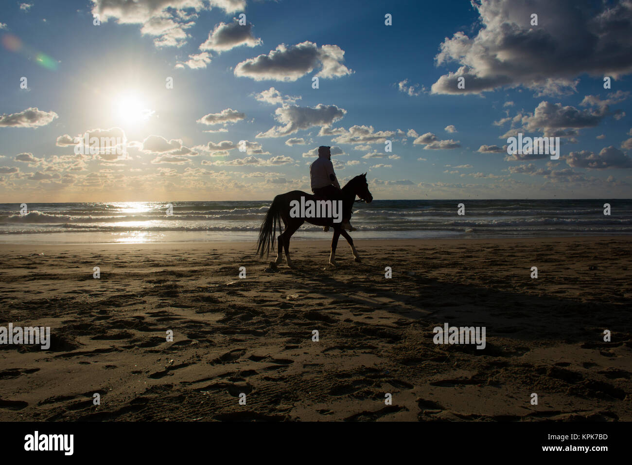 Silhouette of a man riding his horse on the beach Stock Photo - Alamy