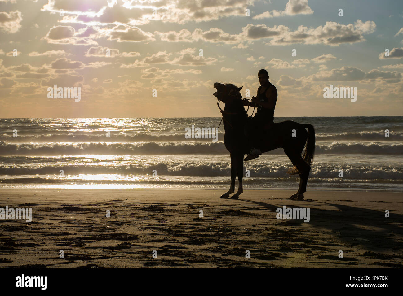 Silhouette of a man riding his horse on the beach at sunset Stock Photo