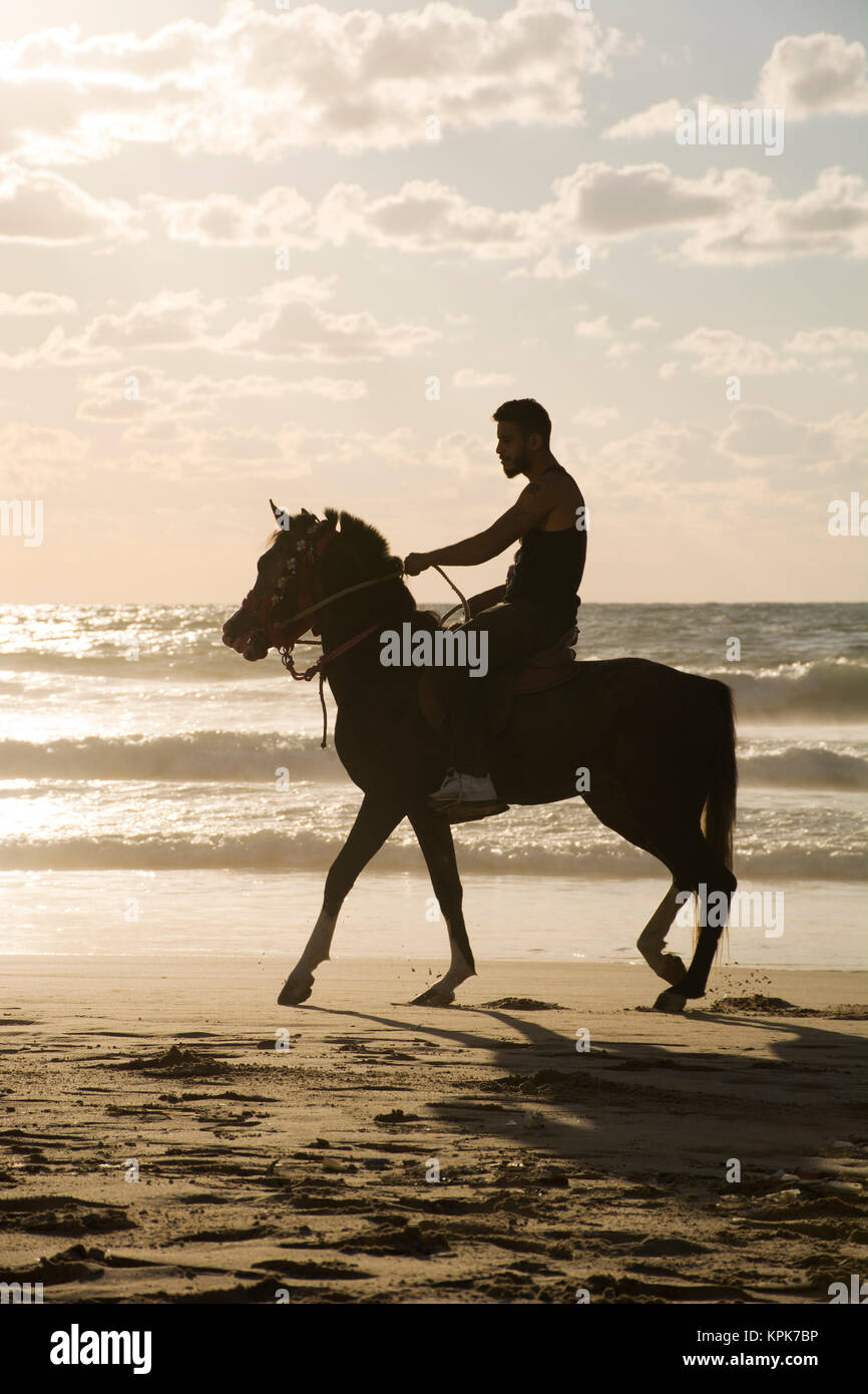 Silhouette of a man riding his horse on the beach at sunset Stock Photo ...