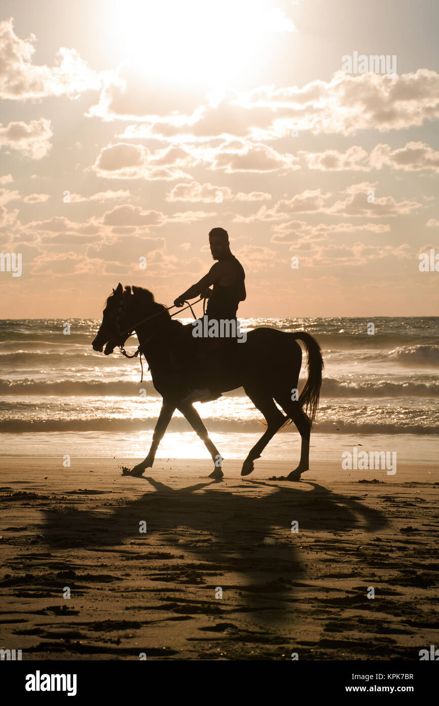 Silhouette of a man riding his horse on the beach at sunset Stock Photo