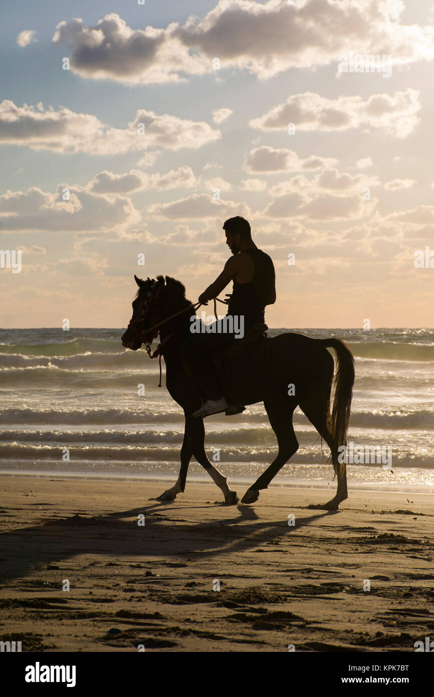 Silhouette of a man riding his horse on the beach at sunset Stock Photo ...