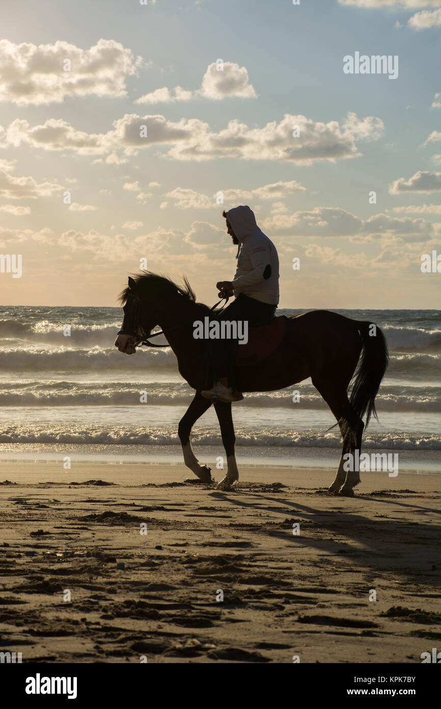 Silhouette of a man riding his horse on the beach at sunset Stock Photo