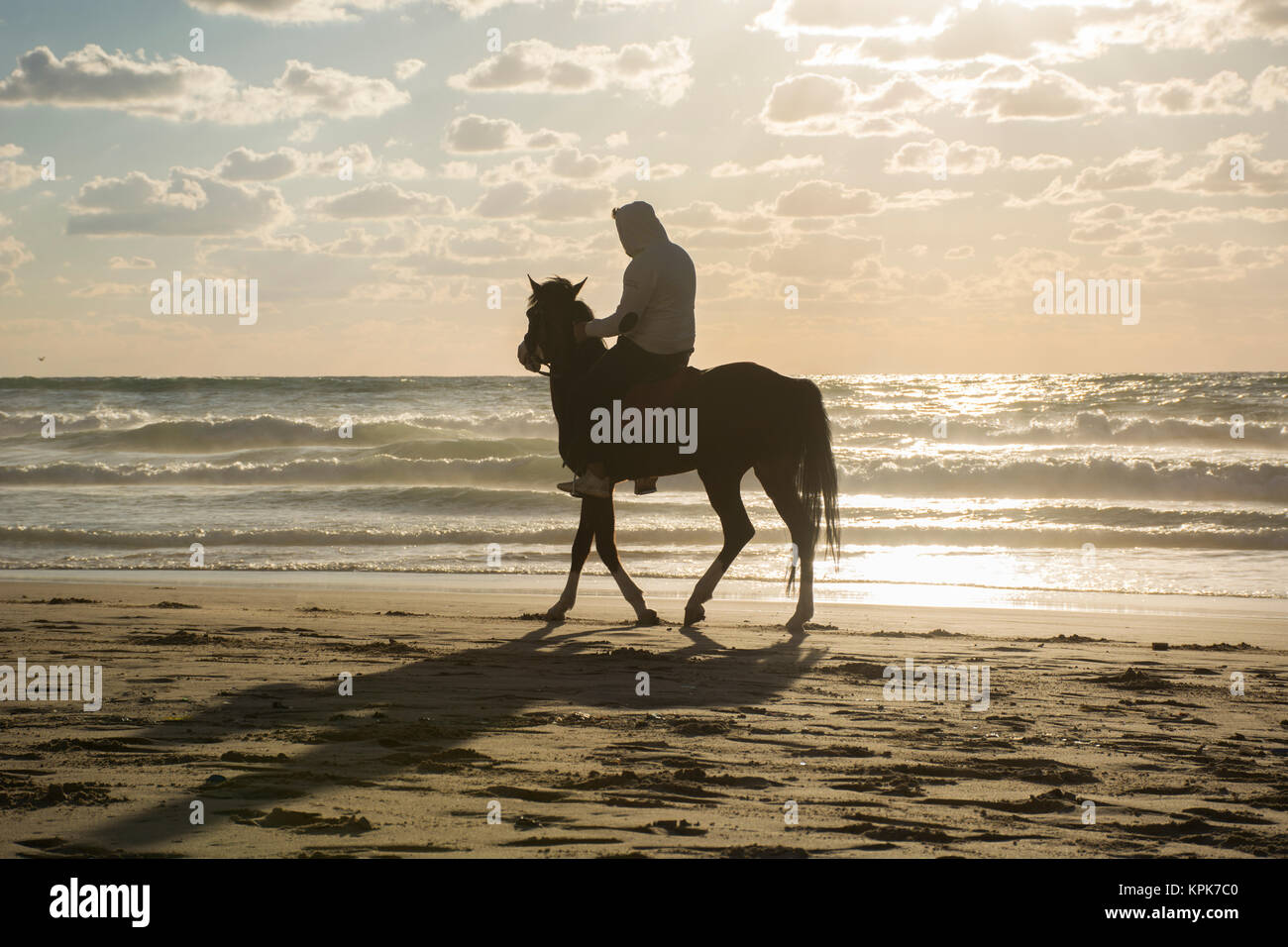 Silhouette of a man riding his horse on the beach at sunset Stock Photo ...