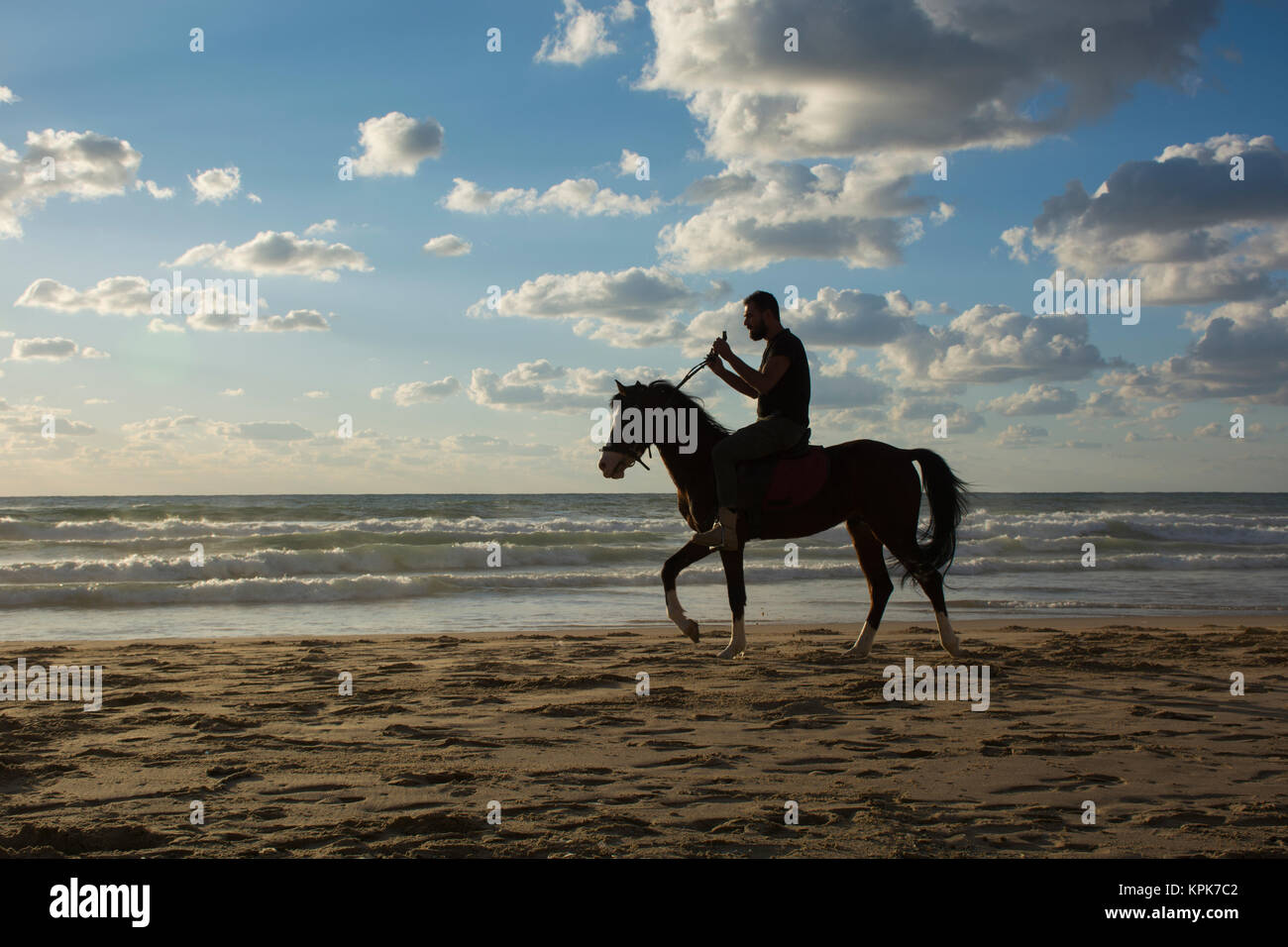Silhouette of a man riding his horse on the beach at sunset Stock Photo ...