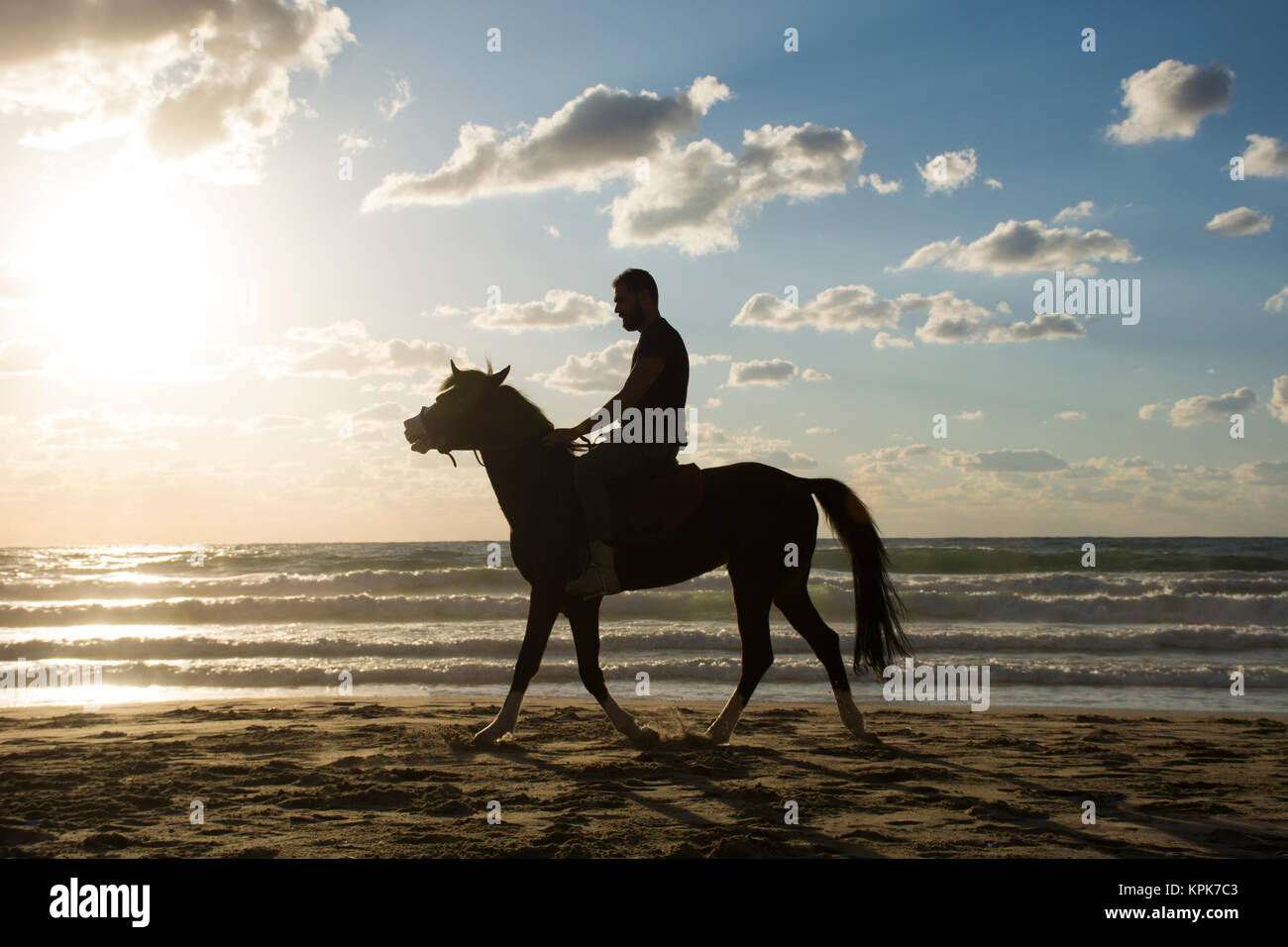Silhouette of a man riding his horse on the beach at sunset Stock Photo ...