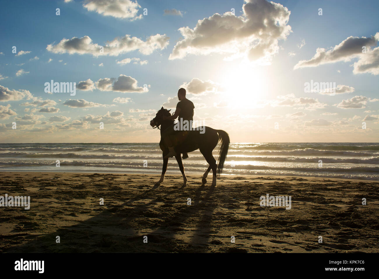 Silhouette of a man riding his horse on the beach at sunset Stock Photo ...
