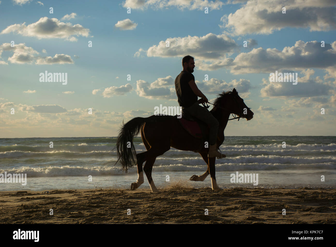 Silhouette of a man riding his horse on the beach at sunset Stock Photo ...