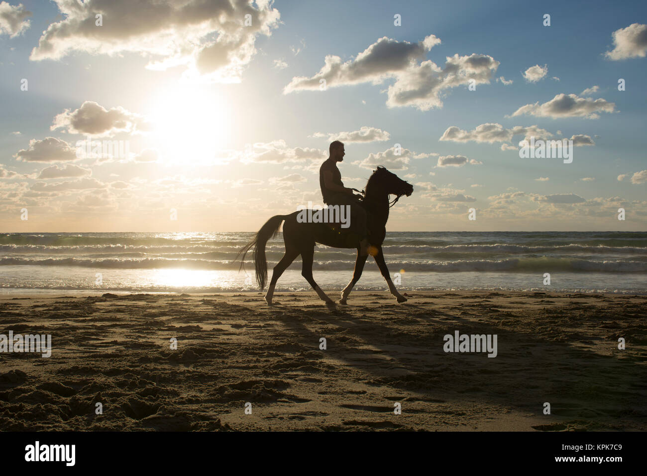 Silhouette of a man riding his horse on the beach at sunset Stock Photo ...