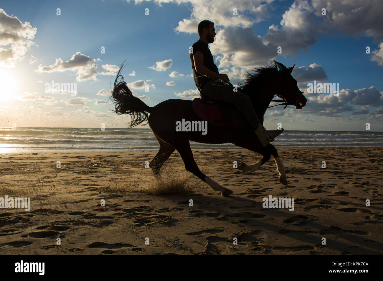 Silhouette of a man riding his horse on the beach at sunset Stock Photo ...