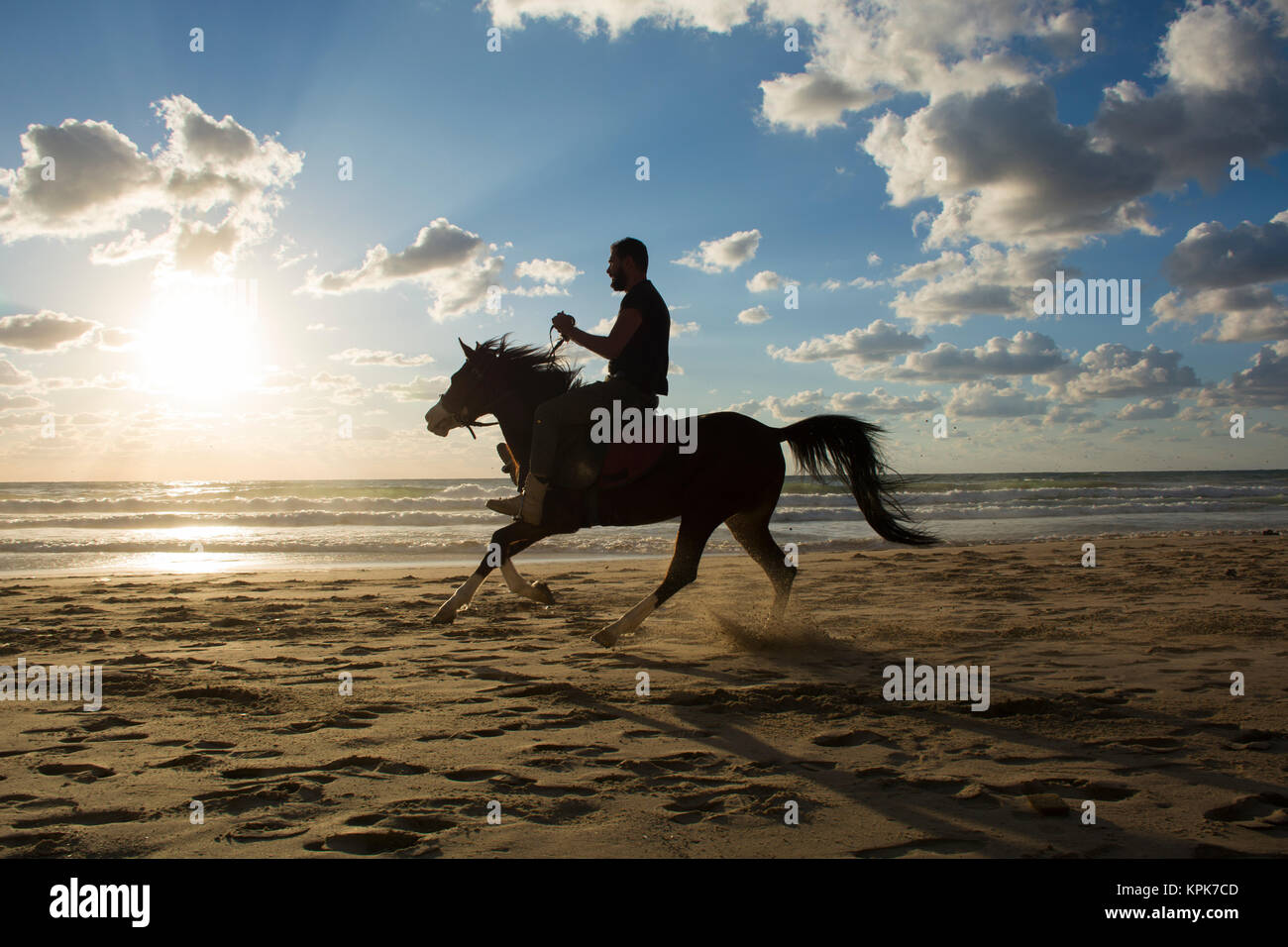 Silhouette of a man riding his horse on the beach at sunset Stock Photo ...