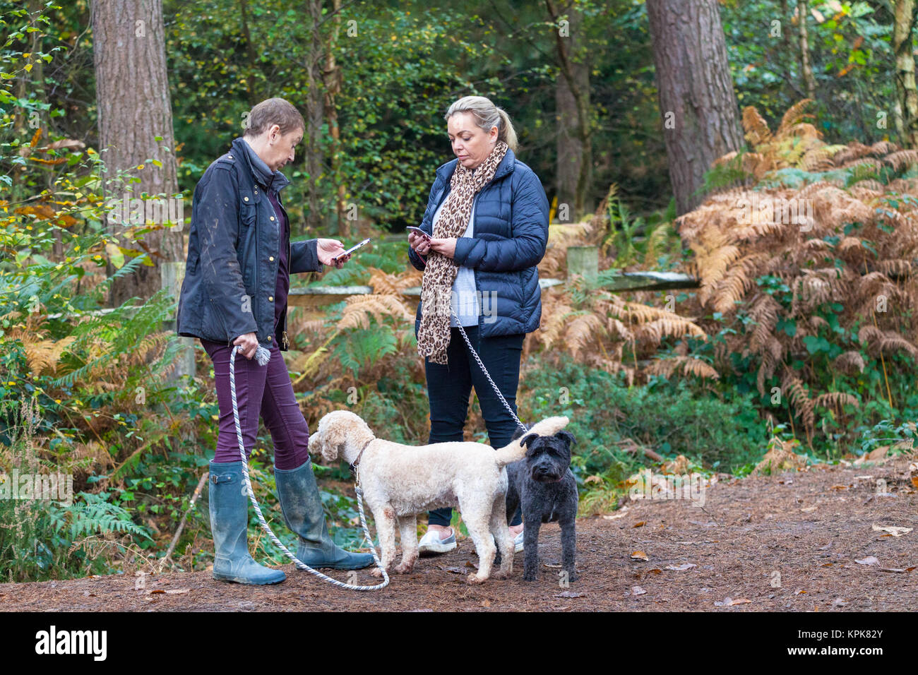 Two women holding mobile phones with dogs attached to leashes at the