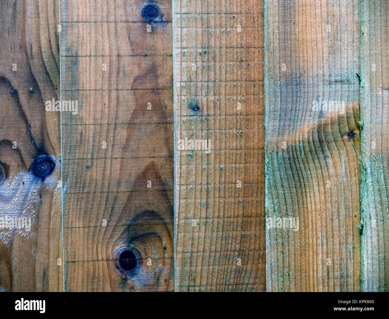 Wet garden fence Stock Photo Alamy