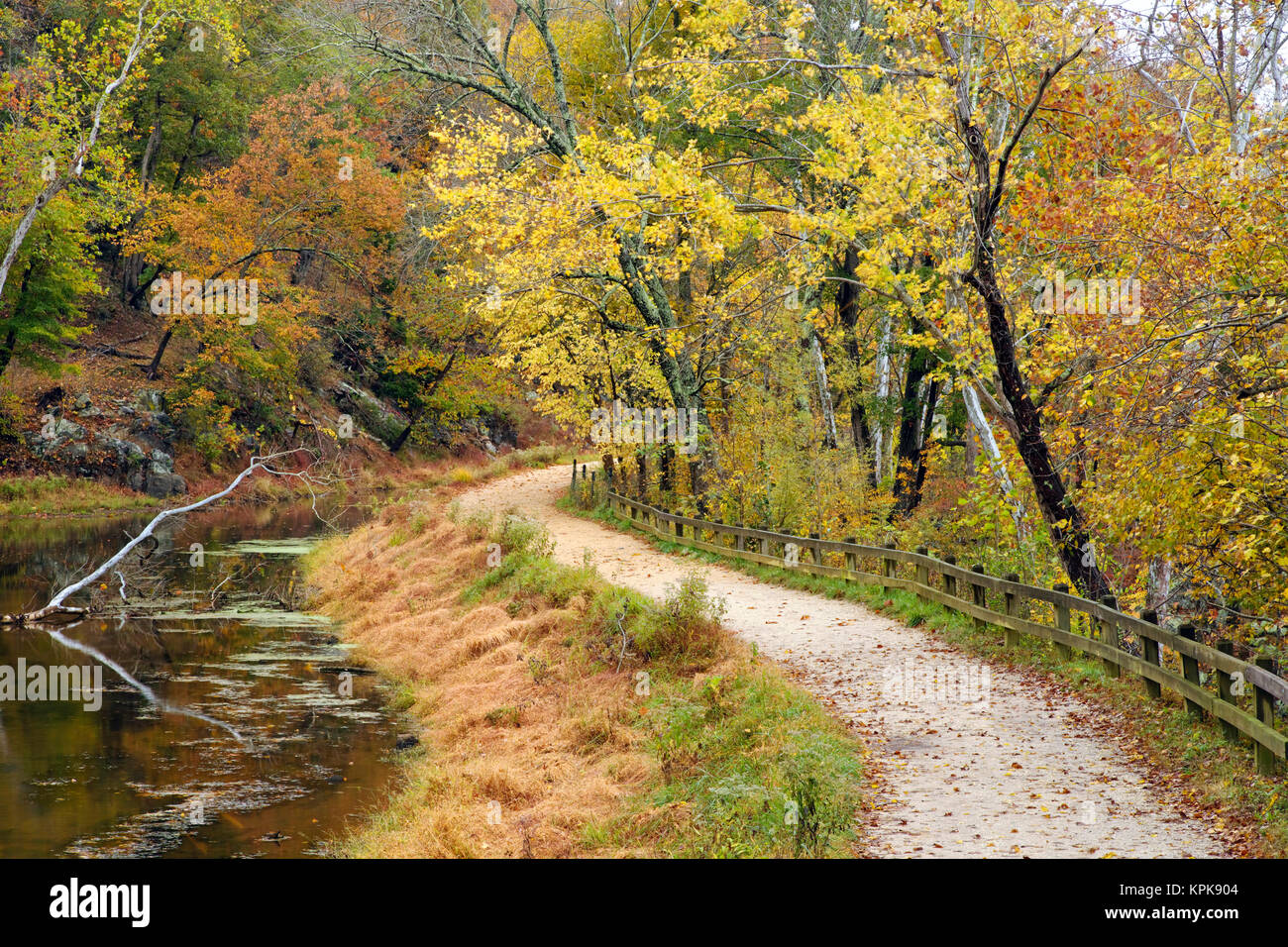 Fall color along the old C & O Canal, C & O National Historic Park, Maryland Stock Photo