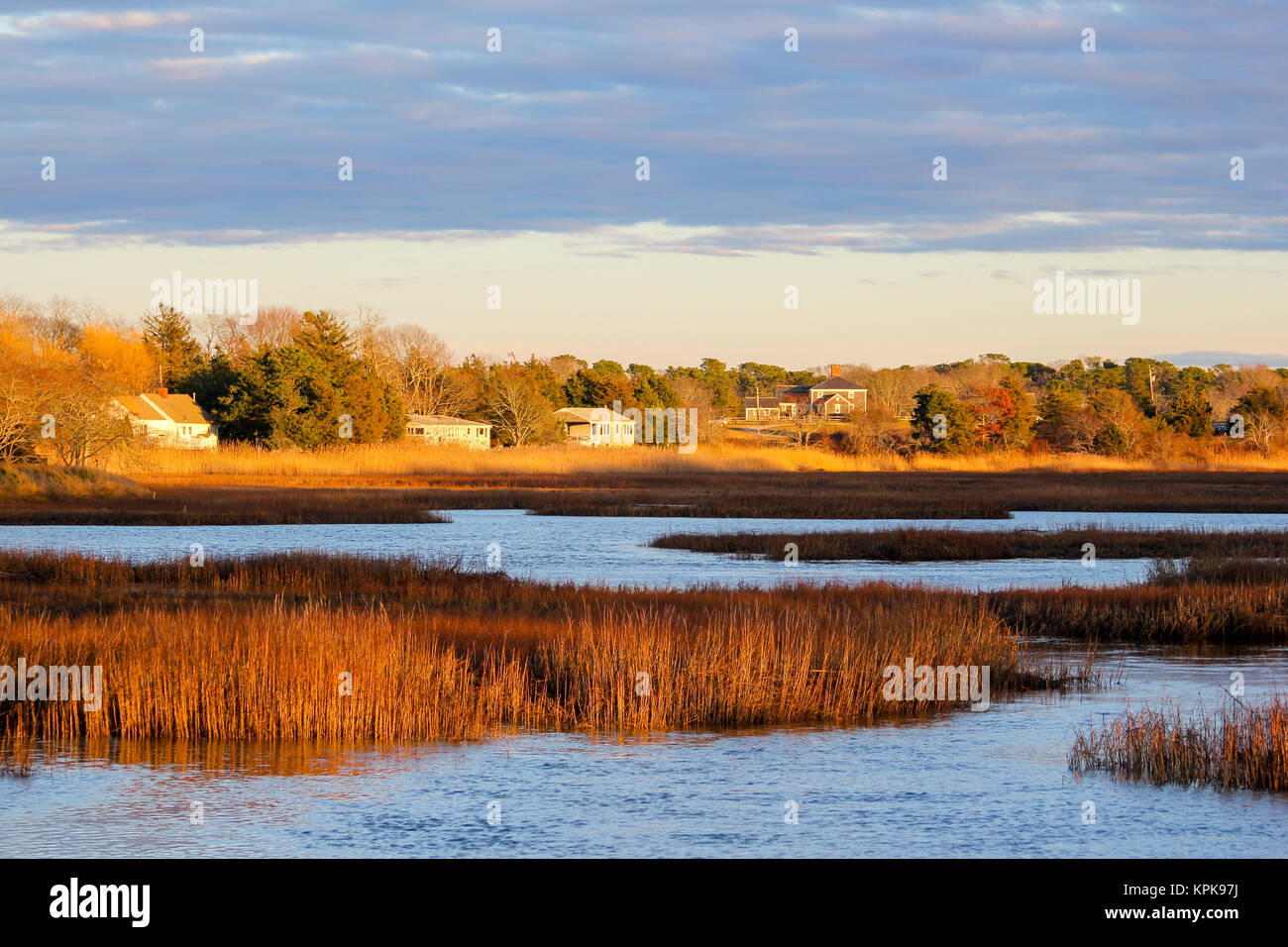 Winter view of wetlands in Barnstable, Cape Cod, Massachusetts, USA Stock Photo