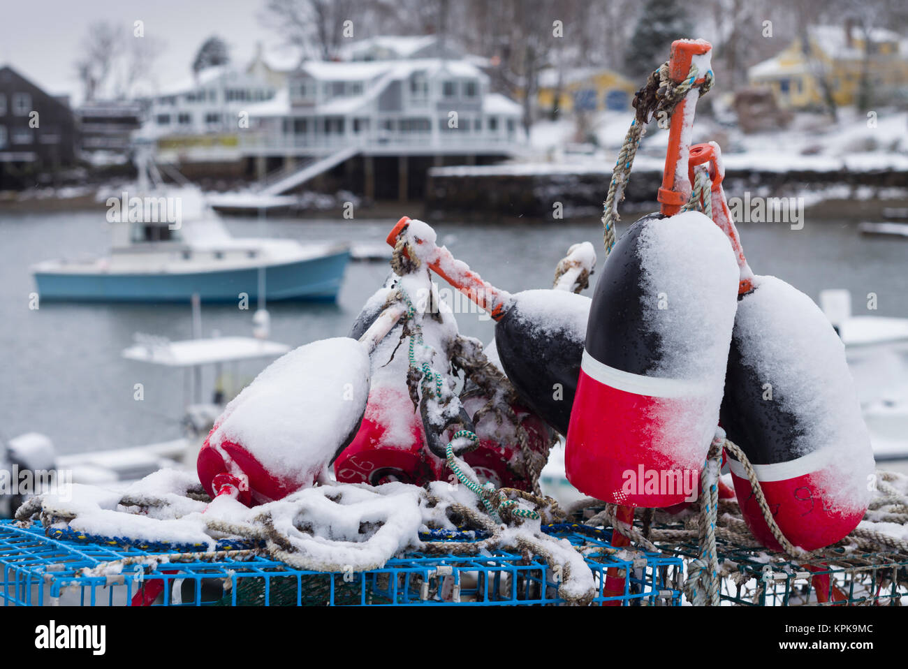 USA, Massachusetts, Cape Ann, Gloucester, early snowfall and lobster