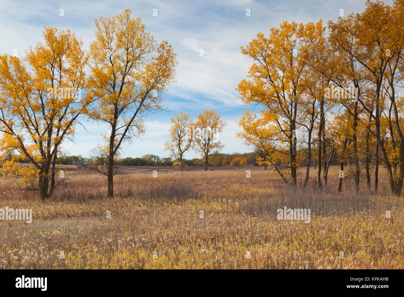 USA Nebraska Beatrice Homestead National Monument of America