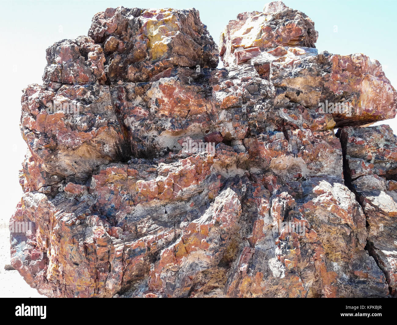 Petrified Wood in Petrified Forest National Park Stock Photo Alamy