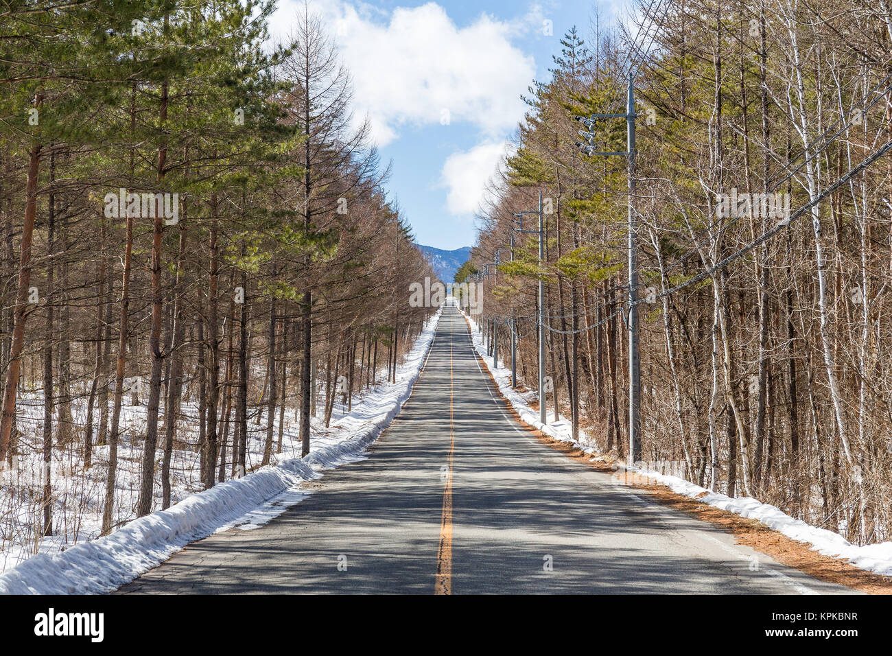 Winter Country Road With Trees Beside Stock Photo - Alamy