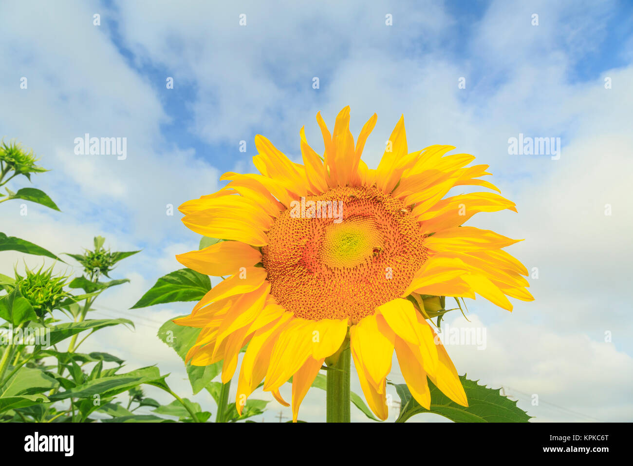 Lake moses hires stock photography and images Alamy