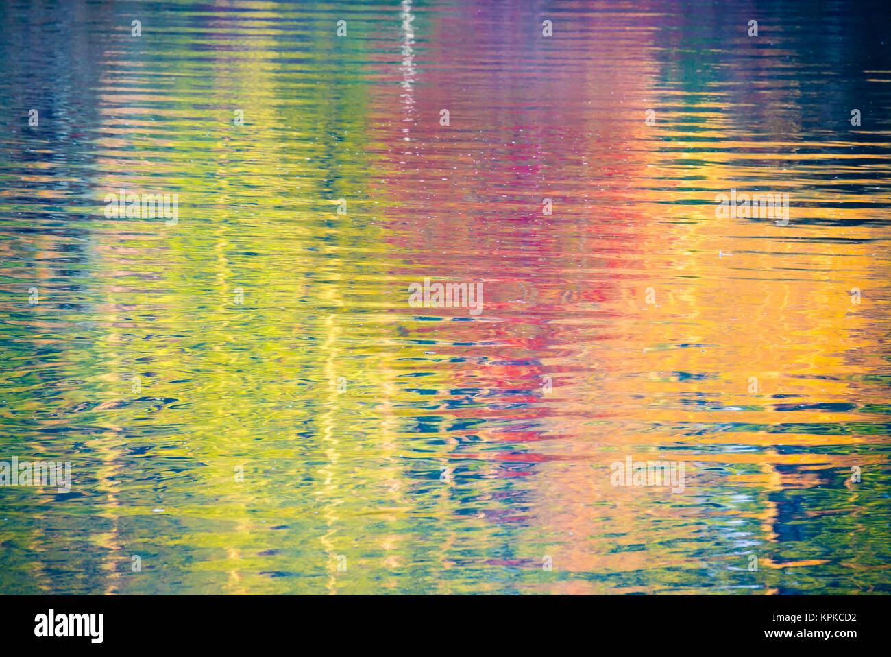 Fall color trees reflected in rippled water Stock Photo - Alamy