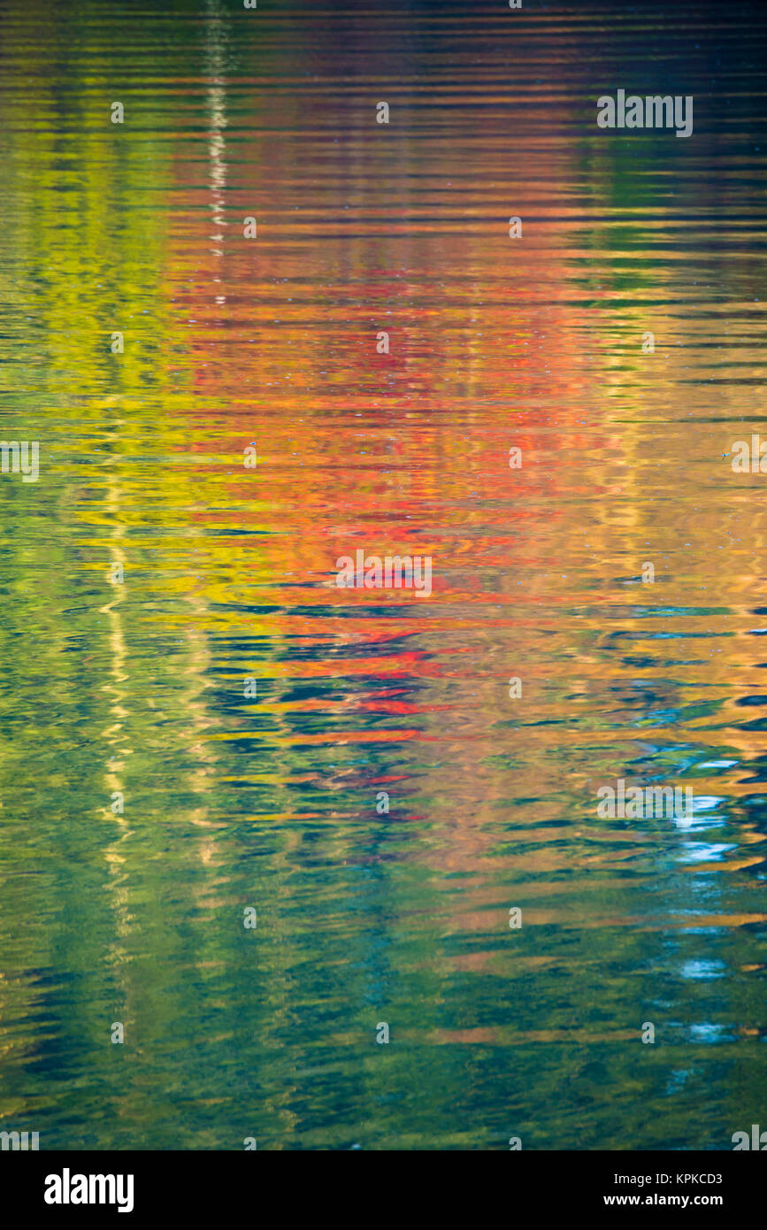 Fall color trees reflected in rippled water Stock Photo - Alamy