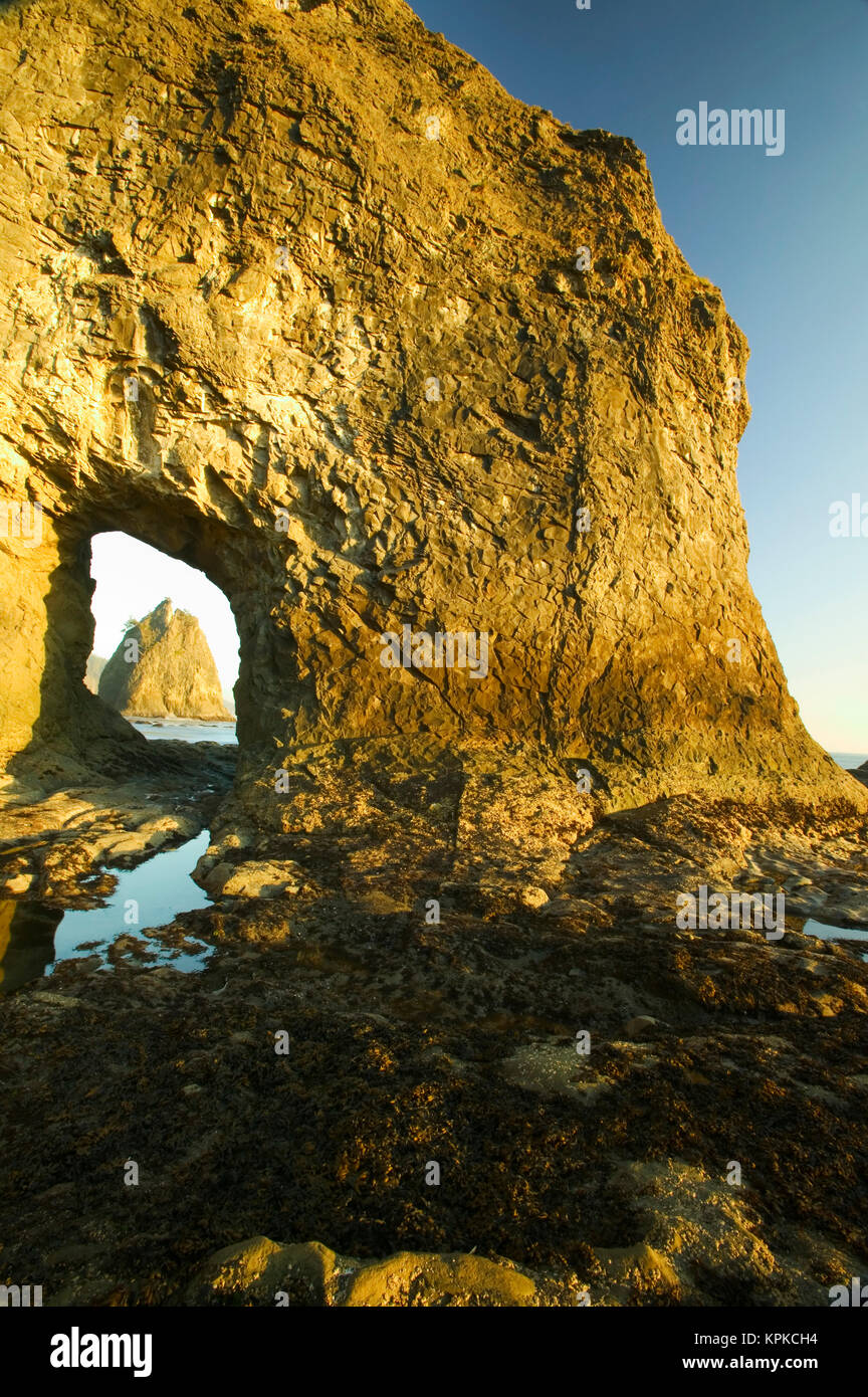 Riatloo Rocks USA, Washington, Olympic National Park, Rialto Beach, Sea Stack viewed ...