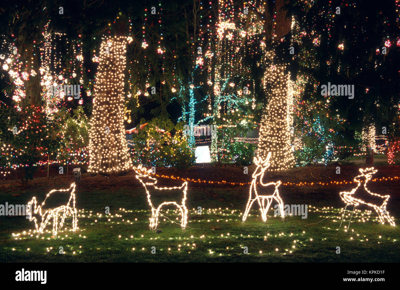 Christmas light display, Camano island, Washington Stock Photo Alamy