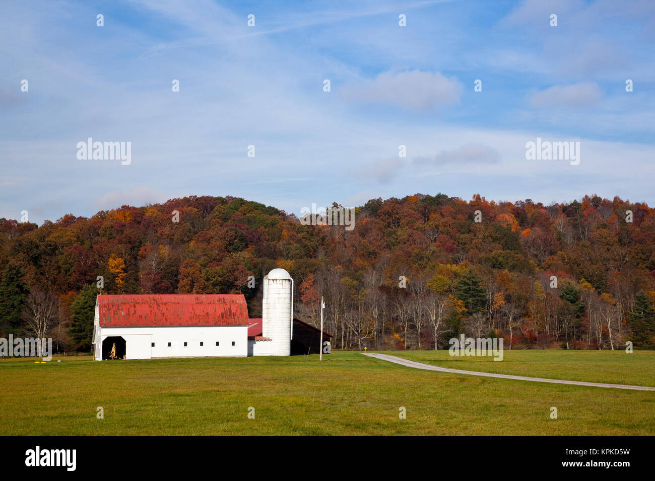 USA, West Virginia, Arbovale. Monongahela National Forest, old barn