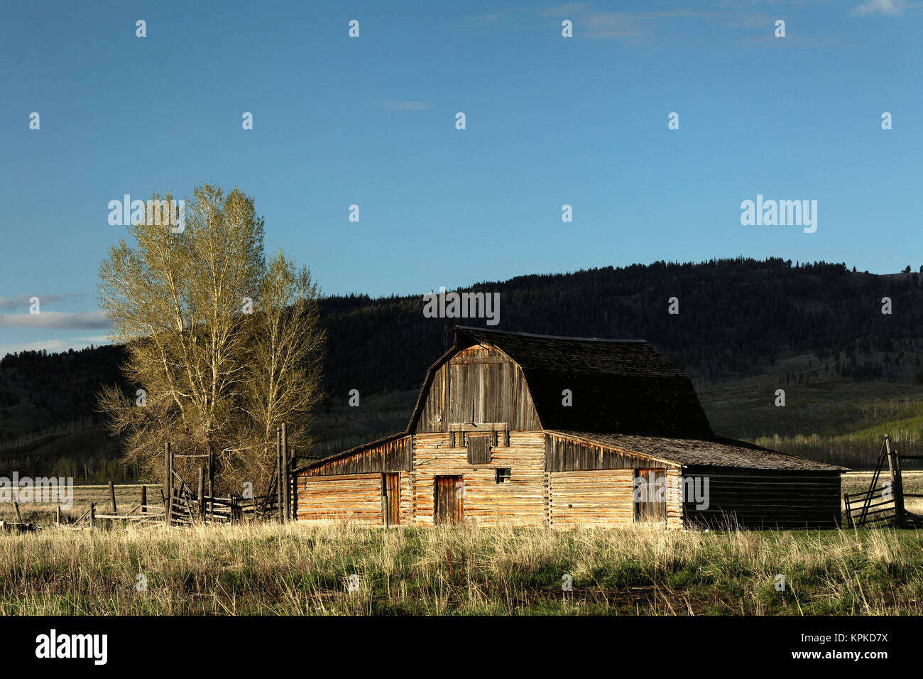 Barn, Grand Teton National Park, Wyoming Stock Photo