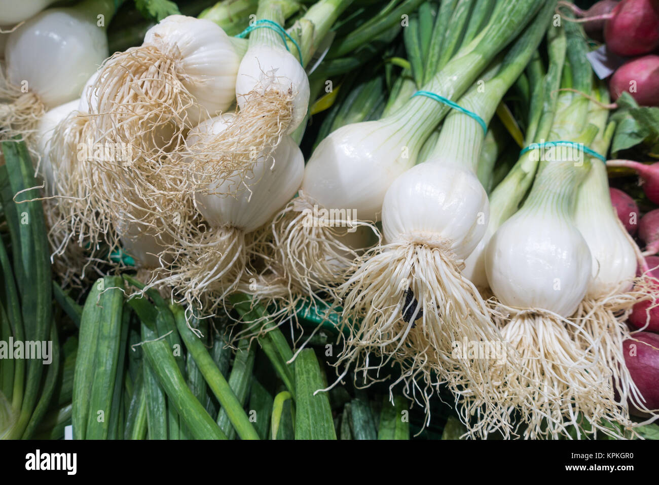 Bunches of fresh spring onions in a Spanish supermarket Stock Photo Alamy