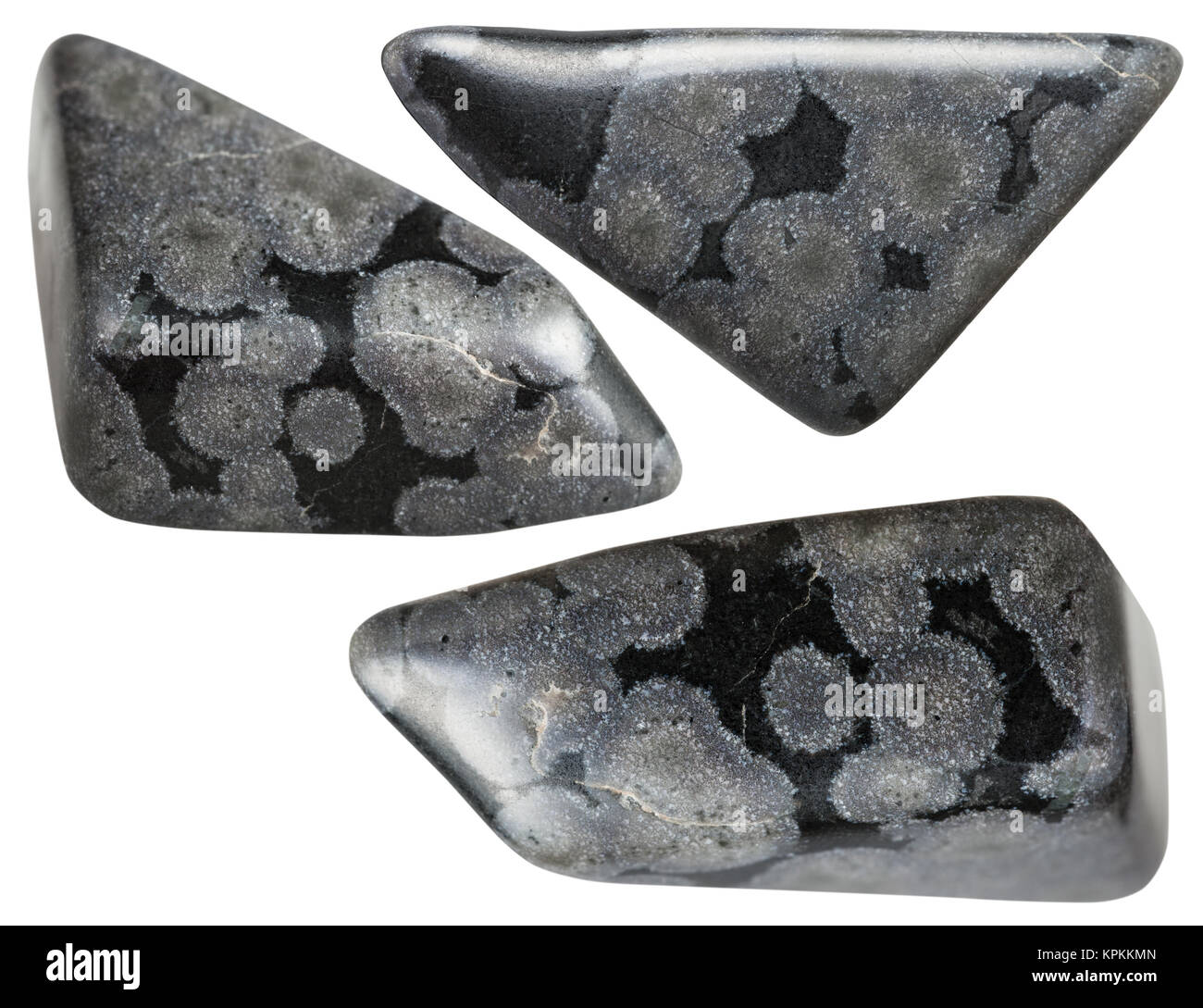 set of Variolite mineral stones isolated on white Stock Photo Alamy