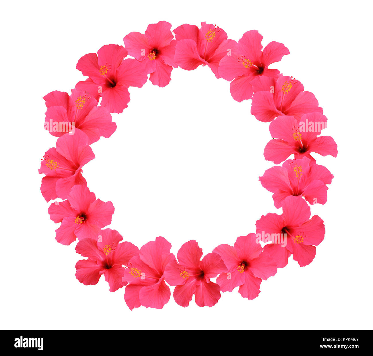 Hibiscus flower wreath isolated on white background Stock Photo - Alamy