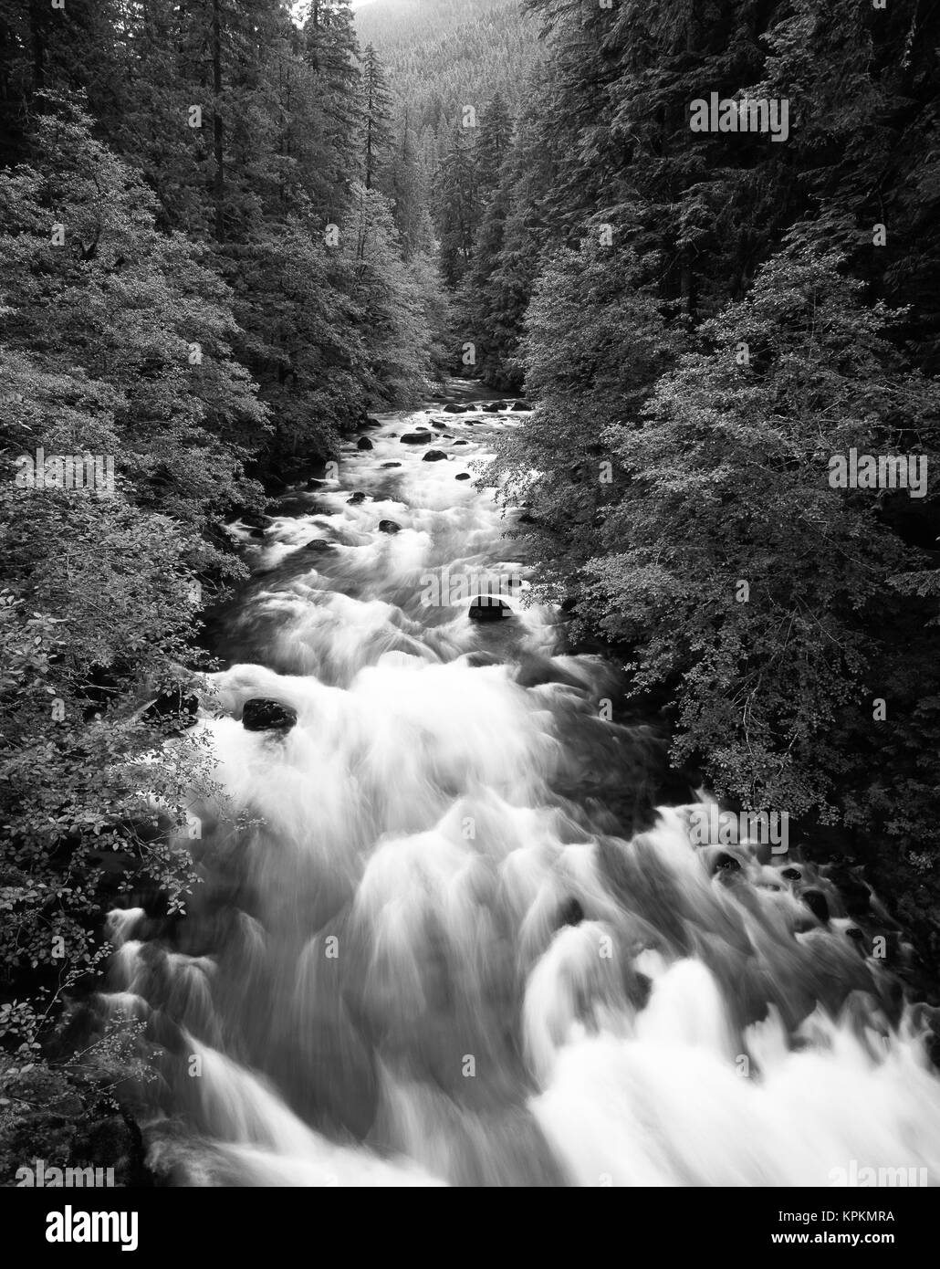 Ohanapecosh Black and White Stock Photos & Images Alamy