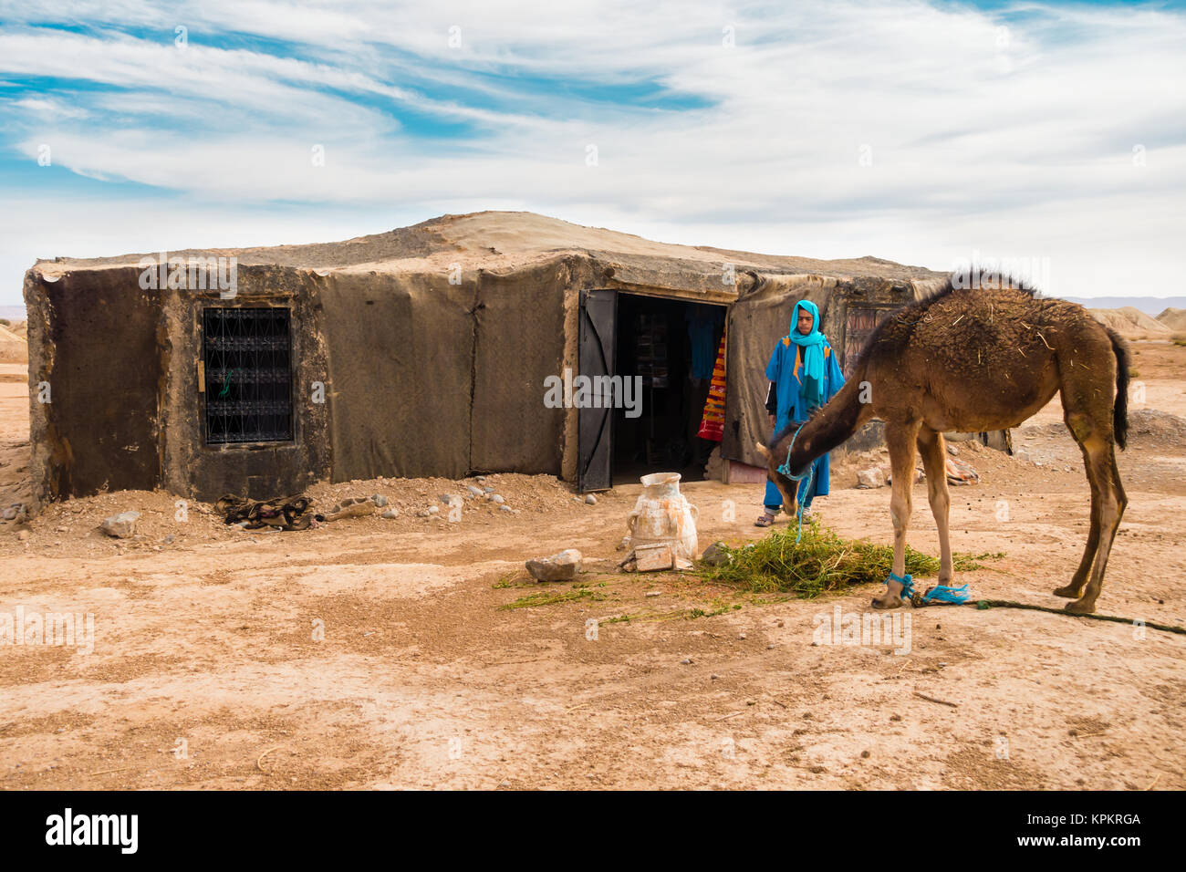 Sahara, Morocco - May 10, 2017: Berber man dressed in traditional moroccan gandoura and touareg watches his camel eat alfalfa in front of his Berber t Stock Photo