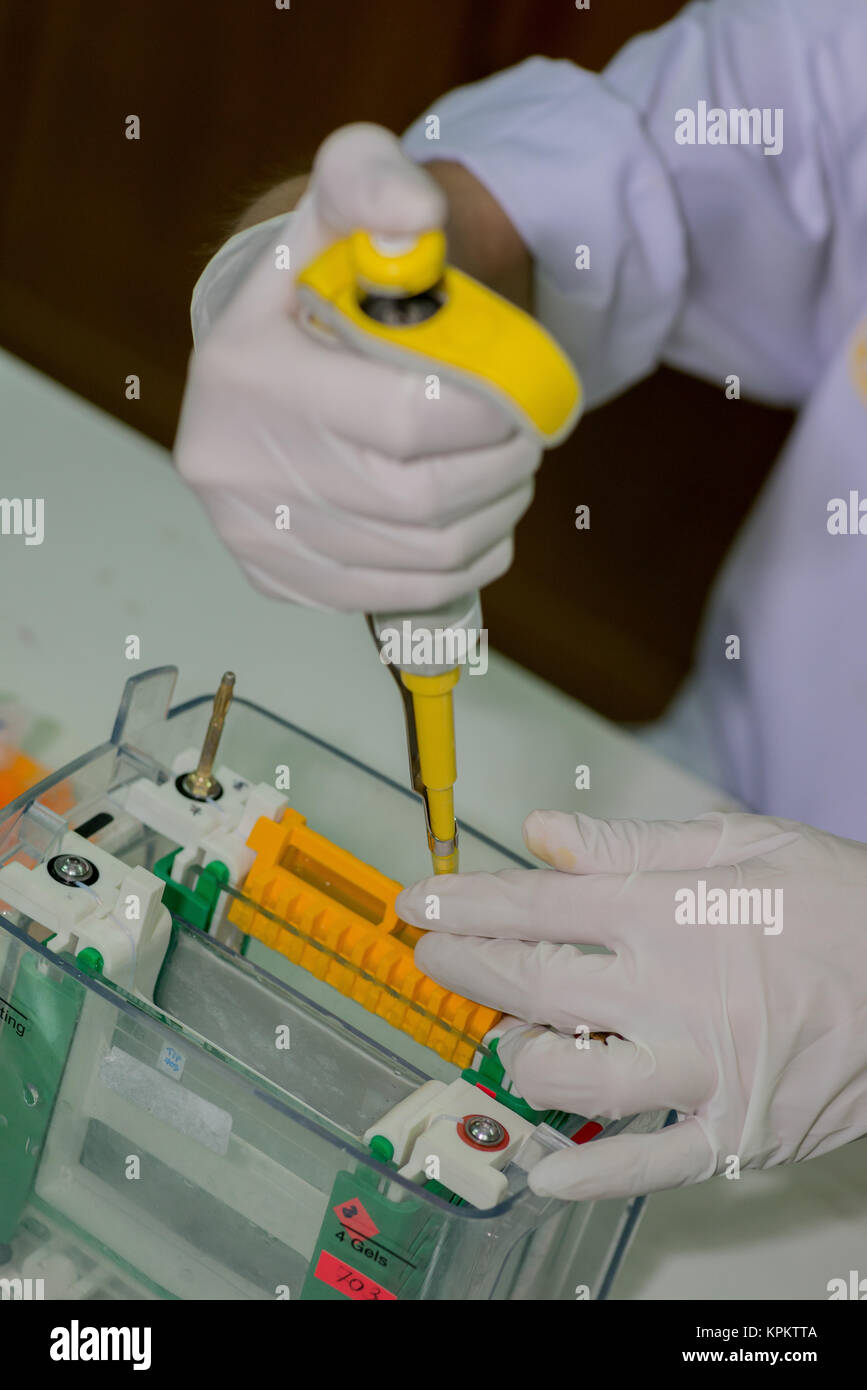 Technician using syringe during project Stock Photo Alamy