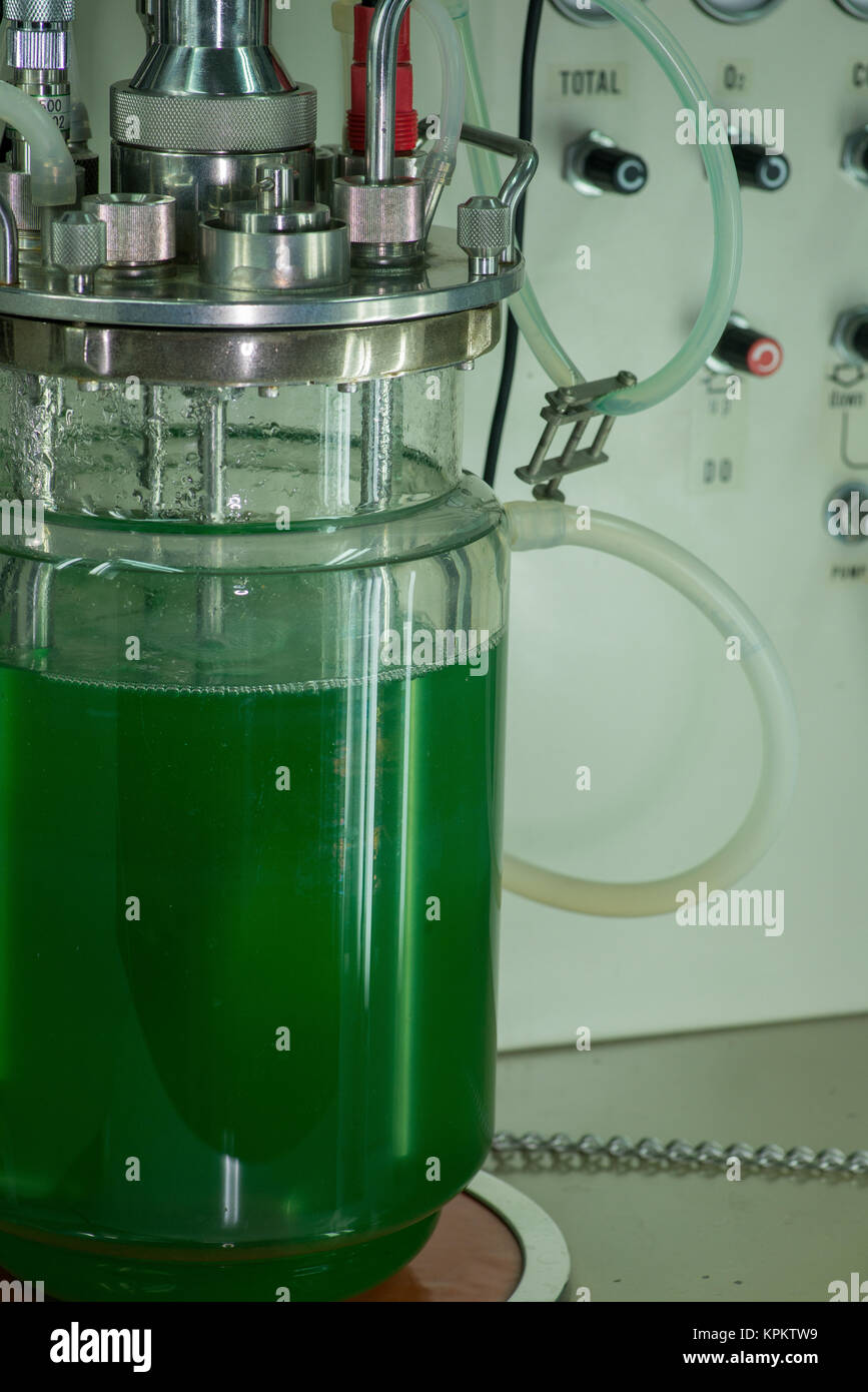 Glass beaker device with tubing for lab Stock Photo