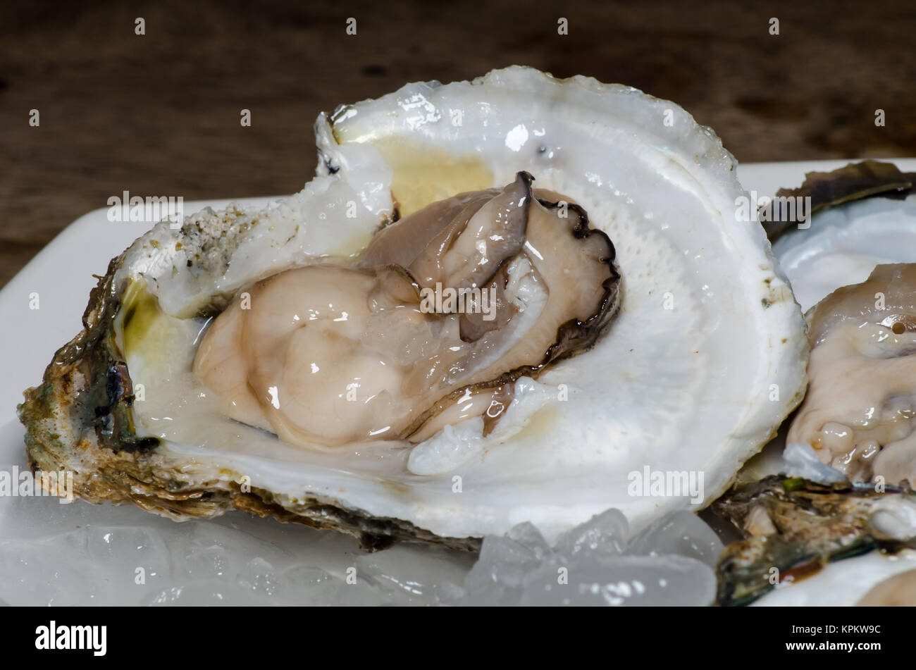 Fresh oyster on ice Stock Photo Alamy
