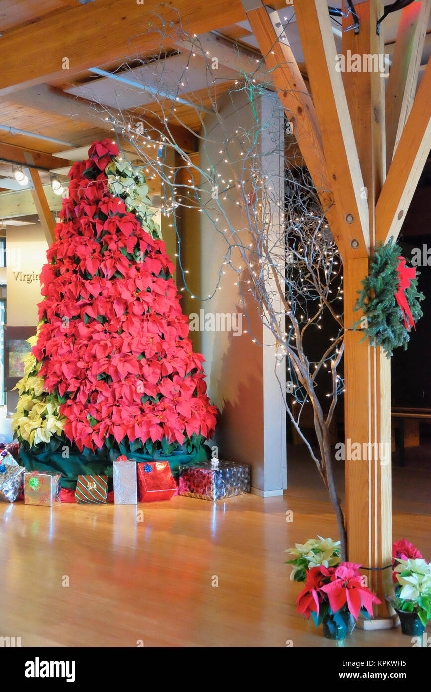 Poinsettia Christmas tree with presents underneath at Calloway Gardens