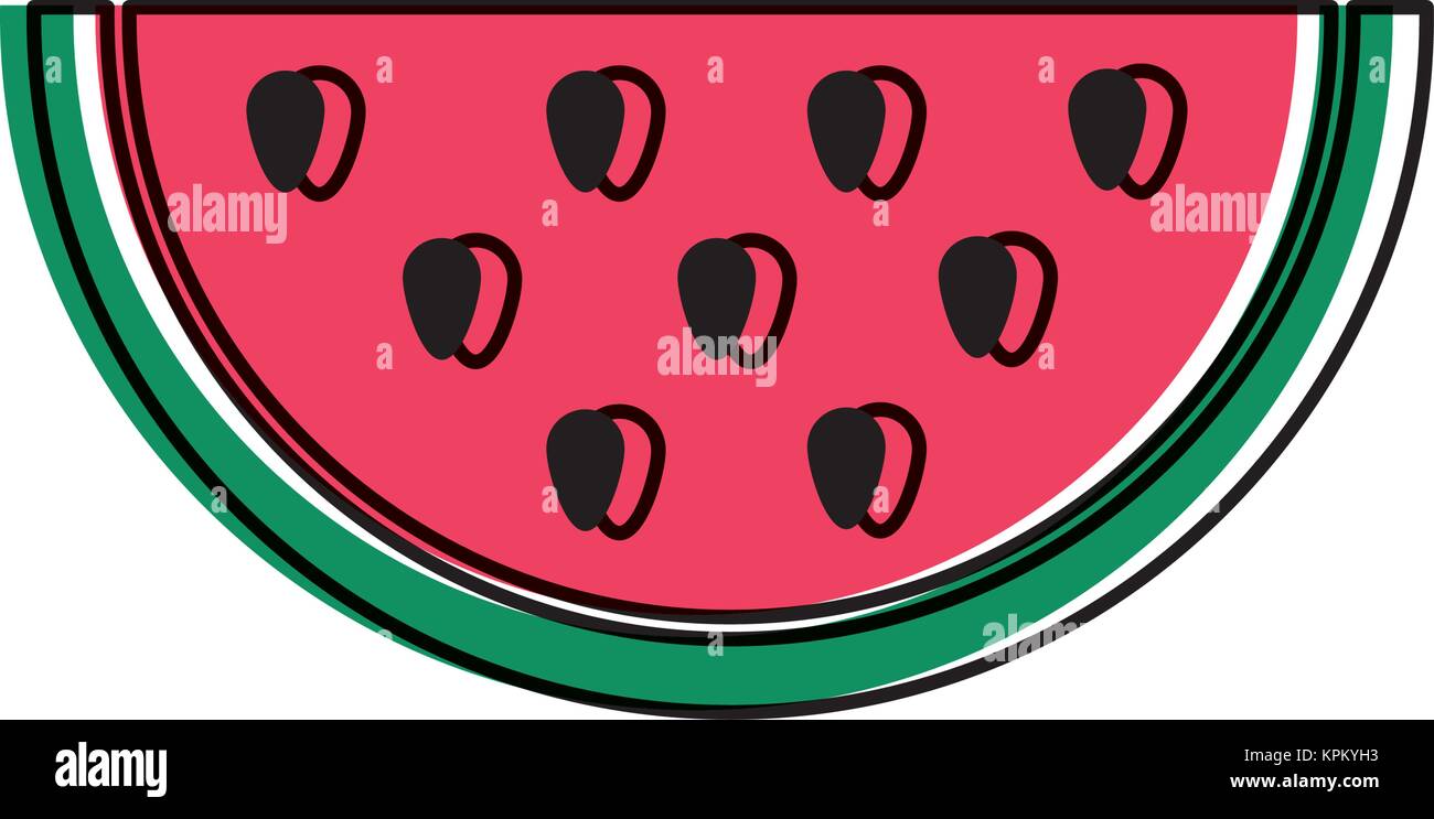 Isolated watermelon design Stock Vector Image & Art - Alamy